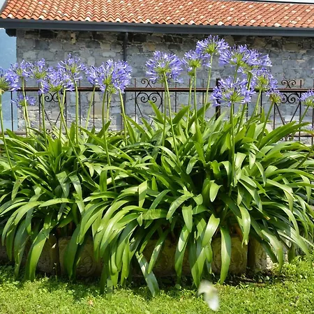 Giardino Fiorito * San Siro (Lombardy)
