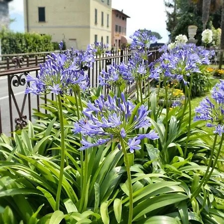 Giardino Fiorito *
