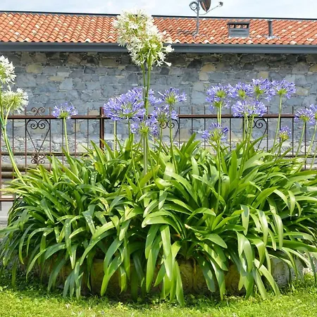 Apartment Giardino Fiorito *
