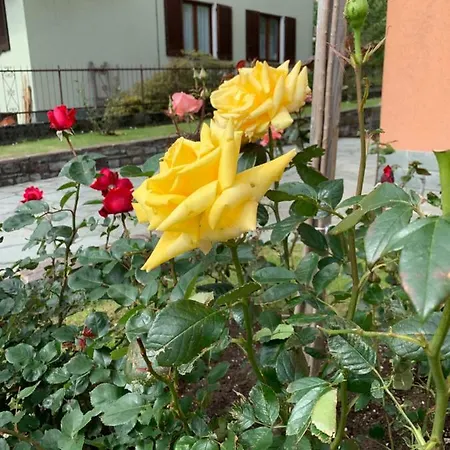 Casa Giardino Fiorito アパート サン・シーロ