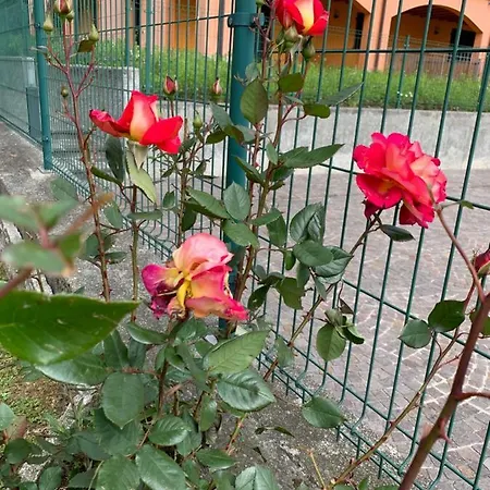 Casa Giardino Fiorito サン・シーロ