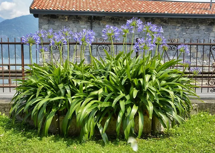 Casa Giardino Fiorito * San Siro (Lombardy)