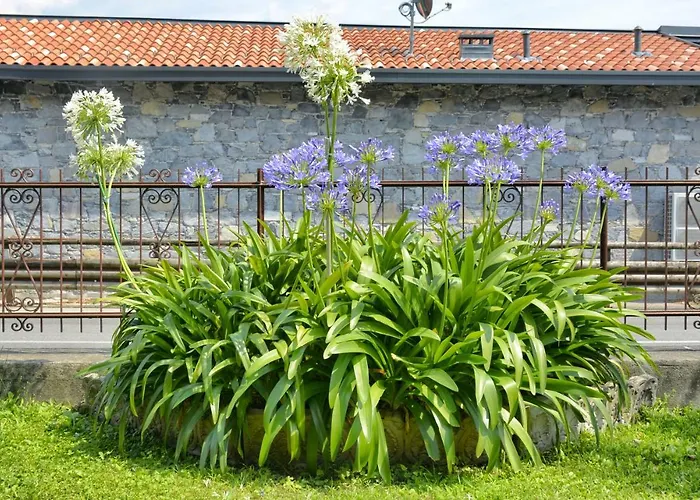 Apartamento Casa Giardino Fiorito *