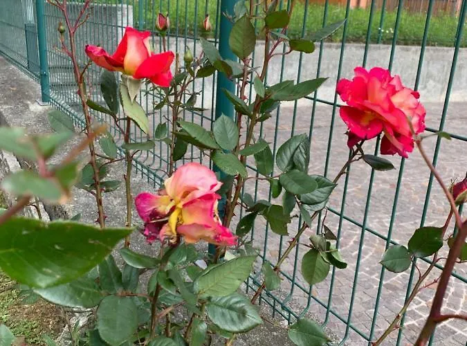 Casa Giardino Fiorito San Siro (Lombardy)